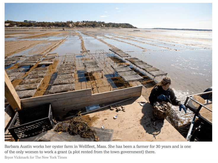 Oyster Lady of Wellfleet